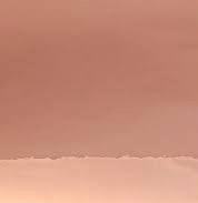 Rose Gold Chrome StyleTech Adhesive