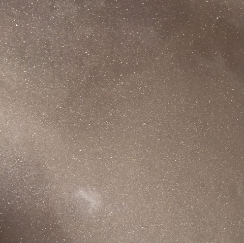 Champagne StyleTech Adhesive Glitter